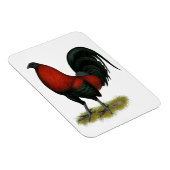 アメリカのゲームBB黒赤鶏 マグネット (右側)