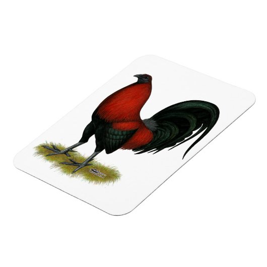 アメリカのゲームBB黒赤鶏 マグネット (左側)