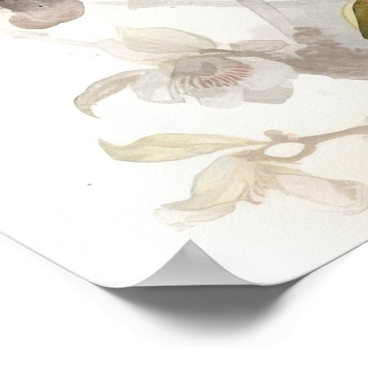 アメリカのゴールドフィンチバードアートプリントポスター ポスター (角)