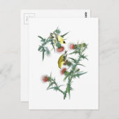 アメリカのゴールドフィンチ・ジョン・オードボンバード ポストカード (正面/裏面)