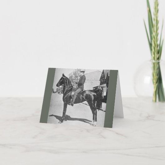 アメリカのサドルブレッド馬ヴィンテージ写真 カード (正面)