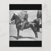 アメリカのサドルブレッド馬ヴィンテージ写真 ポストカード (正面)