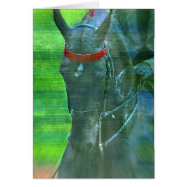 アメリカのサドルブレッド