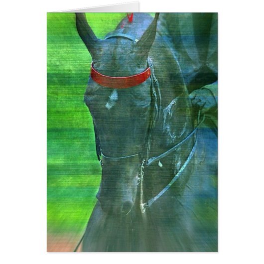 アメリカのサドルブレッド (正面)