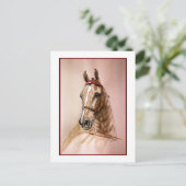 アメリカのサドルブレッド・ホース ポストカード (スタンド正面)