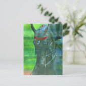 アメリカのサドルブレッド ポストカード (スタンド正面)