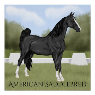 アメリカのサドル繁殖させた馬 ポスター