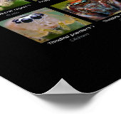 「アメリカのサルティシッド」ジャンプするスパイダー顔ポスター ポスター (角)