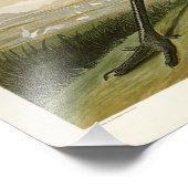 アメリカのサンドヒルクレーンJohn James Audubon Birds of America フォトプリント (角)