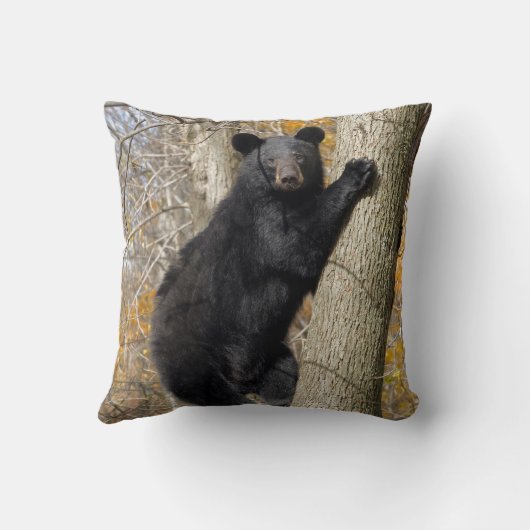 アメリカのツキノワグマの登山の木の枕 クッション (裏面)