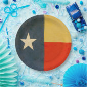 アメリカのテキサス州 ペーパープレート (パーティー)