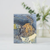 アメリカのトアドデジタ絵画ルの ポストカード (スタンド正面)