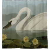 アメリカのハクチョウ – オードボンズ・バード・オブ・アメリカ シャワーカーテン (正面)