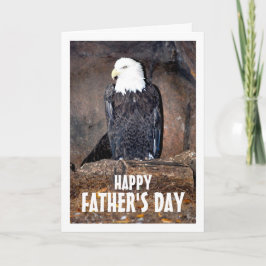 アメリカのハクトウタカの巣 カード