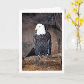 アメリカのハクトウワシの巣 カード (黄色い花)