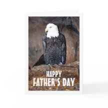 アメリカのハゲワシの巣