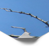 アメリカのハゲ・イーグルのポスター ポスター (角)