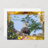 アメリカのハゲ・イーグル・クリスマスカード シーズンポストカード (正面/裏面)