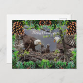 アメリカのハゲ・イーグル・クリスマスカード シーズンポストカード (正面/裏面)