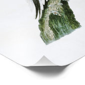 アメリカのハト・ジョン・オードボンバード フォトプリント            (角)