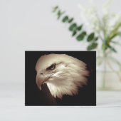 アメリカのハ秃げた鷹の目の招待状 招待状 (スタンド正面)