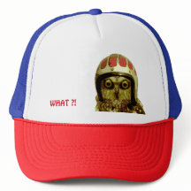 アメリカのバイクもしくは自転車に乗る人のフクロウ