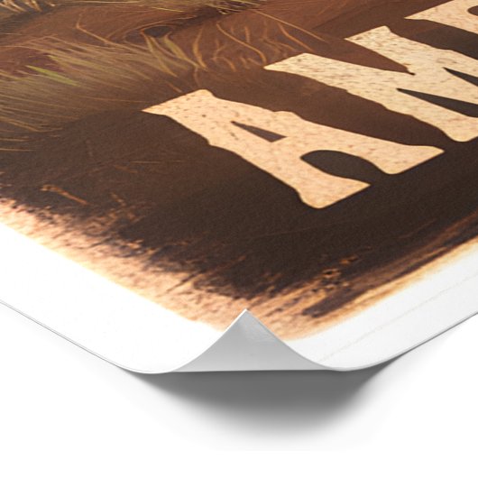 アメリカのバイソンは砂漠に立っている ポスター (角)