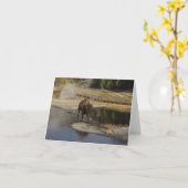 アメリカのバイソンイエローストーン野生生物写真 カード (黄色い花)