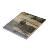 アメリカのバイソンイエローストーン野生生物写真 タイル (側面)