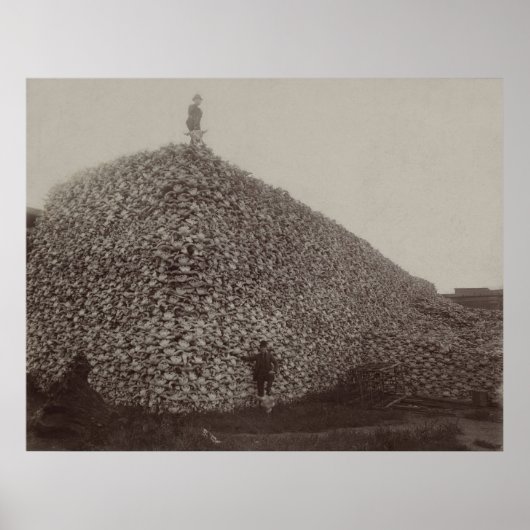 アメリカのバイソンスカルが肥料の原料となる ポスター (正面)