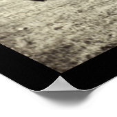 アメリカのバイソン・バッファロー写真1906 ポスター (角)