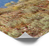 アメリカのバッファローがテトンポスターに登場 ポスター (角)