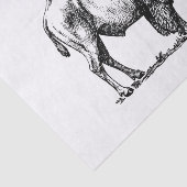 アメリカのバッファローのバイソン 薄葉紙 (詳細)