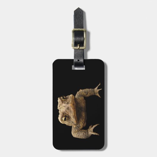 アメリカのヒキガエル ラゲッジタグ (正面縦)