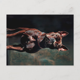 アメリカのピットブルテリア ポストカード