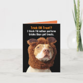 アメリカのピットブルトリック/ハロウィーンユーモアを扱うC カード (正面)