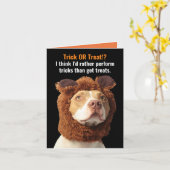 アメリカのピットブルトリック/ハロウィーンユーモアを扱うC カード (黄色い花)