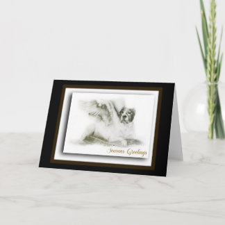 アメリカのピット・ブルテリア シーズンカード