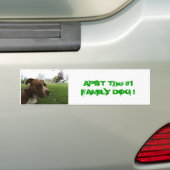 アメリカのピット・ブルテリア バンパーステッカー (車上)