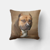 アメリカのピット・ブル クッション (裏面)