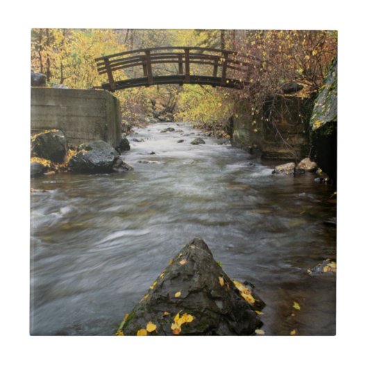 アメリカのフォーク渓谷を通る川のランニング タイル (正面)