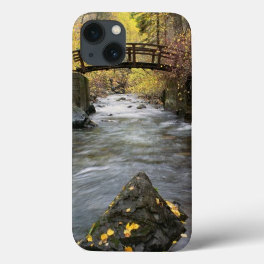 アメリカのフォーク渓谷を通る川のランニング Case-Mate iPhoneケース (裏面)