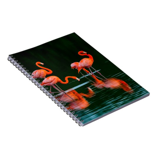 アメリカのフラミンゴで反射が静止し息を吹き込む ノートブック (右側)