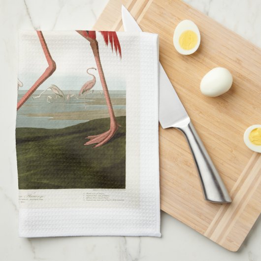 アメリカのフラミンゴのジョンアメリカのAudubonの鳥 キッチンタオル (四つ折り)