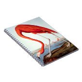 アメリカのフラミンゴ ノートブック (右側)