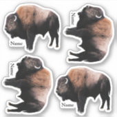 アメリカのブラウンバッファロー名ステッカー シール (正面)