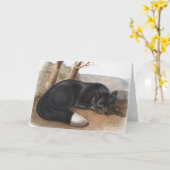 アメリカのブラックまたはシルバーキツネ(フルーペスフルボス) カード (黄色い花)