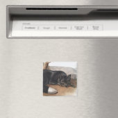 アメリカのブラックまたはシルバーキツネ（フルーペスフルボス） マグネット (インサイチュ (食洗機))