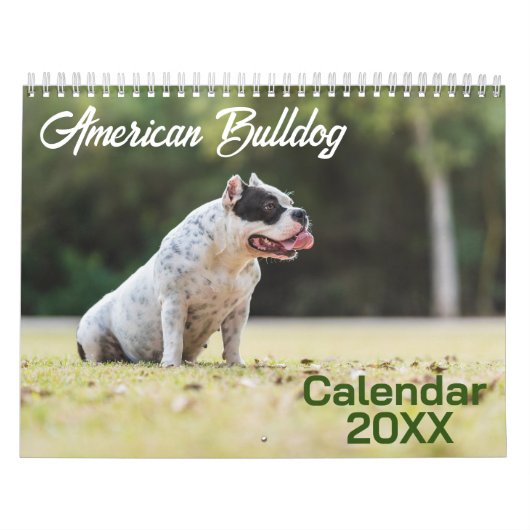 アメリカのブルドッグ犬カレンダー2026 カレンダー (カバー)