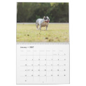 アメリカのブルドッグ犬カレンダー2026 カレンダー (1月 2027)